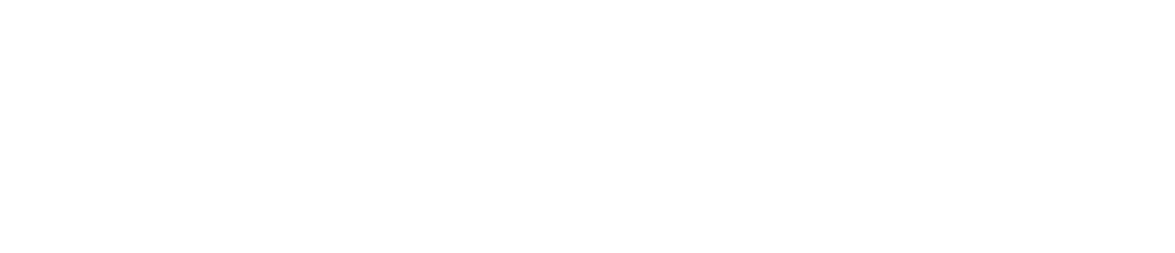 Partner logo 16